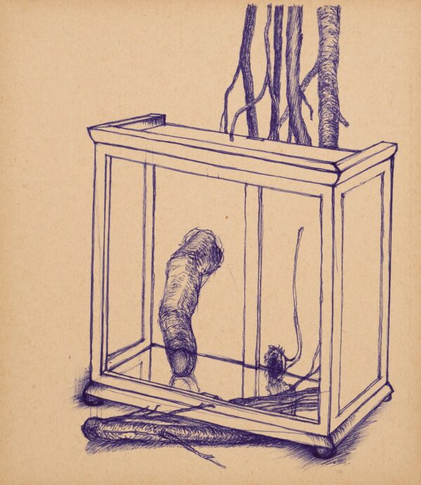  - Image 2 of 8