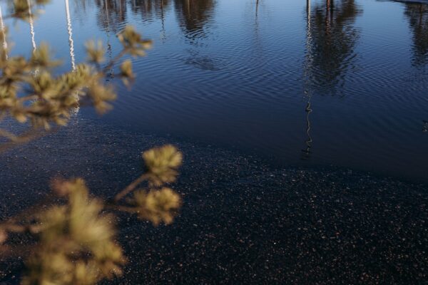  - Image 3 of 8