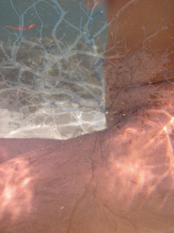  - Image 4 of 4