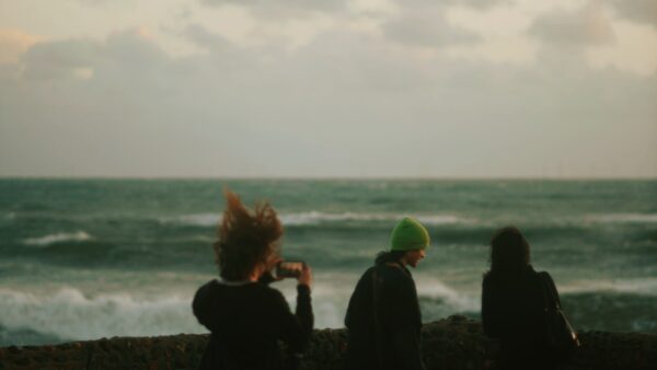  - Image 6 of 8