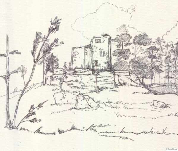  - Image 3 of 7