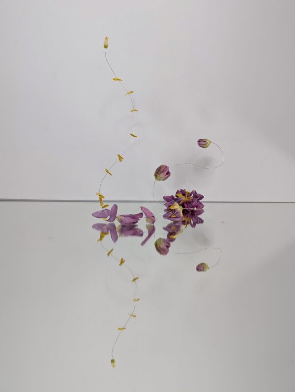  - Image 1 of 8