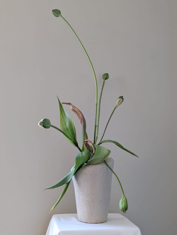  - Image 8 of 8