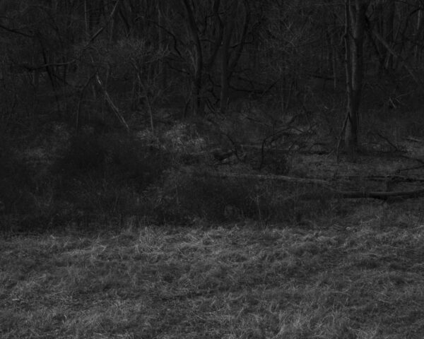  - Image 8 of 8