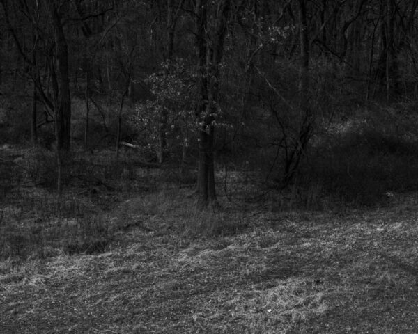  - Image 5 of 8