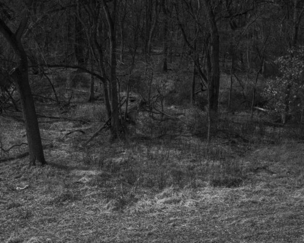  - Image 4 of 8