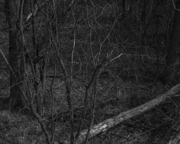  - Image 6 of 8