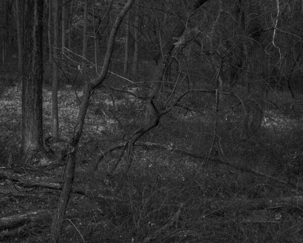  - Image 2 of 8
