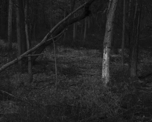  - Image 7 of 8