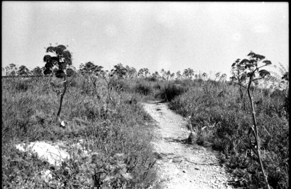  - Image 8 of 8
