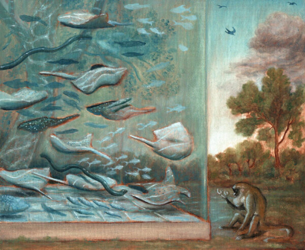  - Image 8 of 8