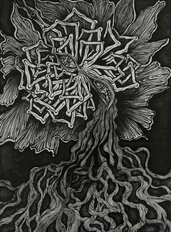  - Image 4 of 5