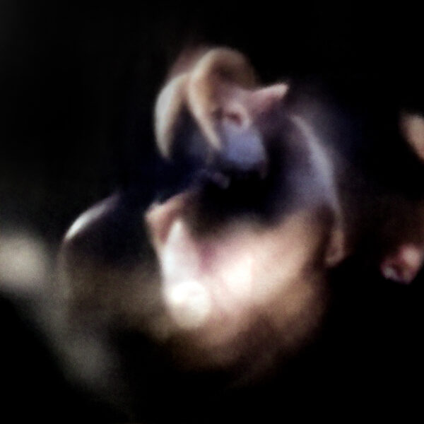  - Image 3 of 8