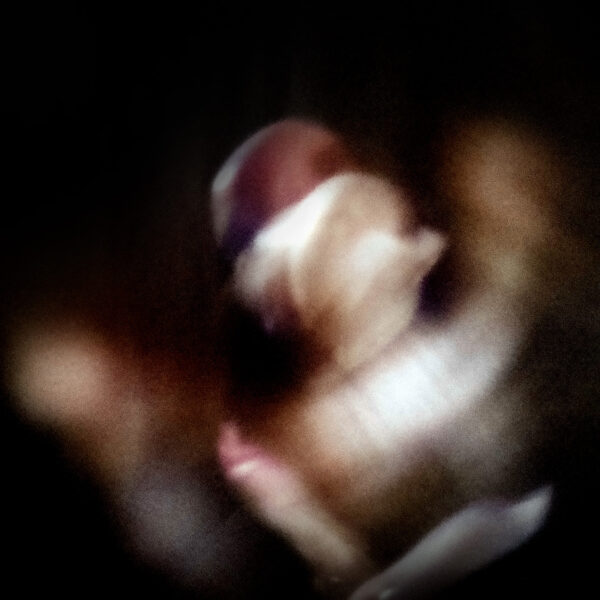  - Image 4 of 8