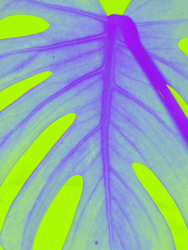 - Image 1 of 2
