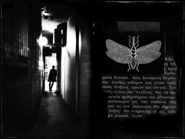  - Image 6 of 8