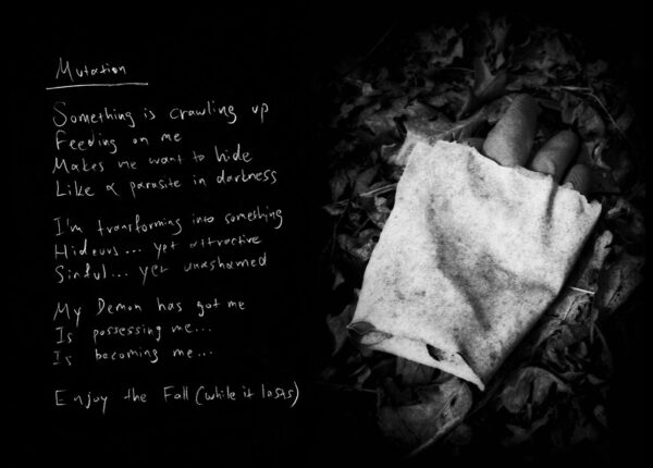  - Image 7 of 8