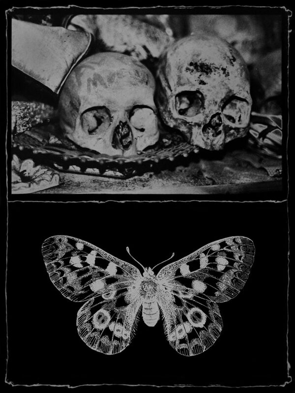  - Image 2 of 8