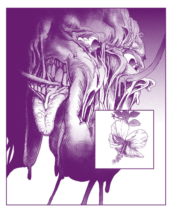  - Image 2 of 7