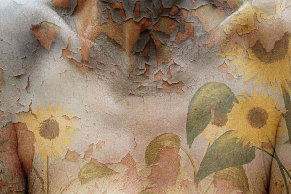  - Image 3 of 6