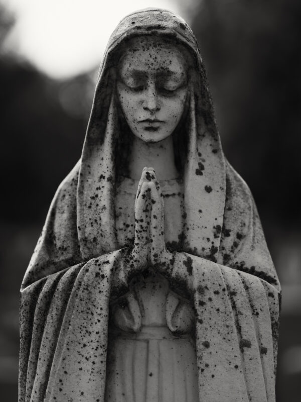  - Image 1 of 8