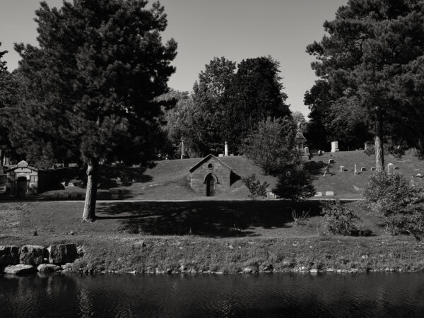  - Image 7 of 8