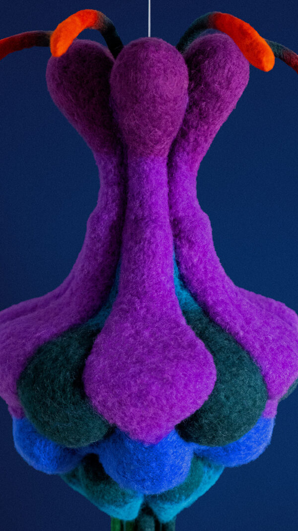  - Image 3 of 3