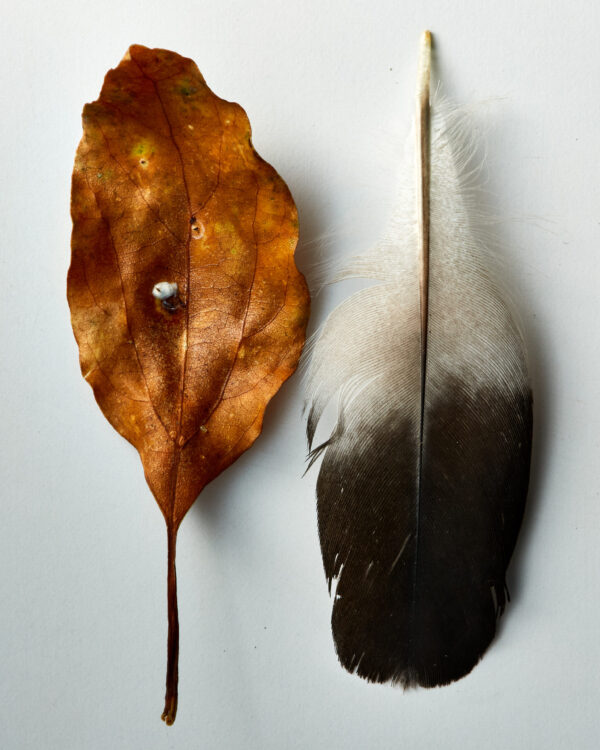 - Image 3 of 8