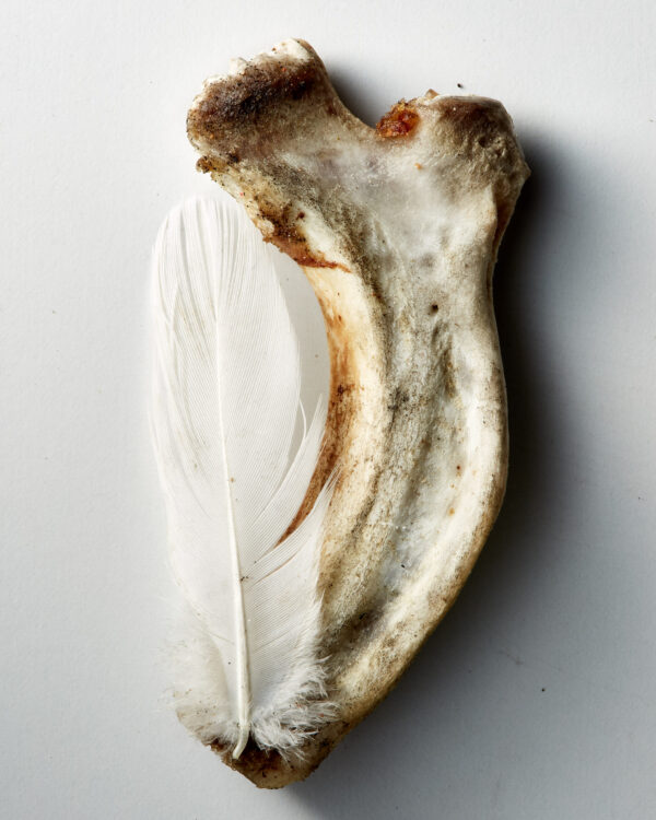  - Image 6 of 8