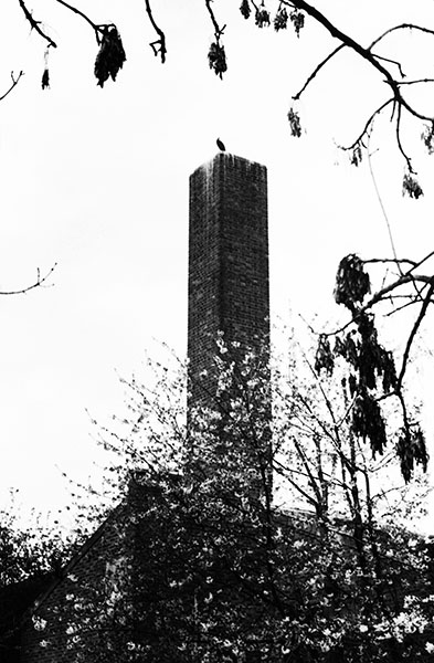 - Image 4 of 6