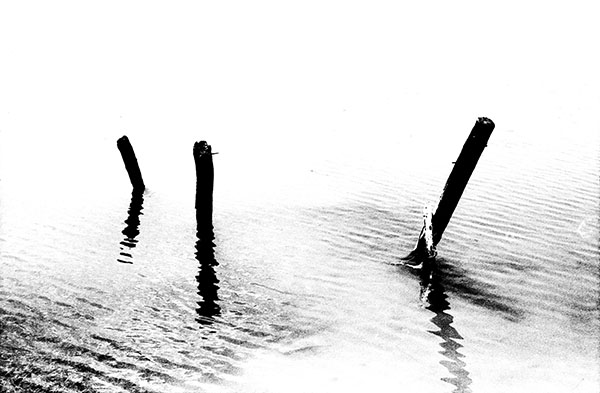  - Image 5 of 6