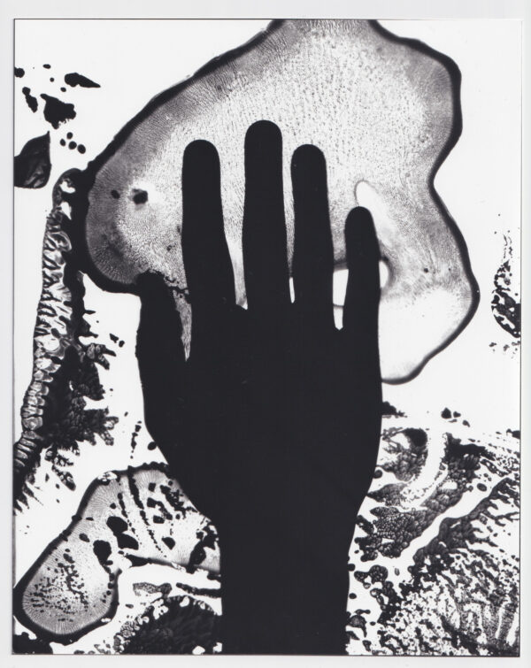  - Image 3 of 8