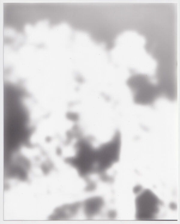  - Image 4 of 8