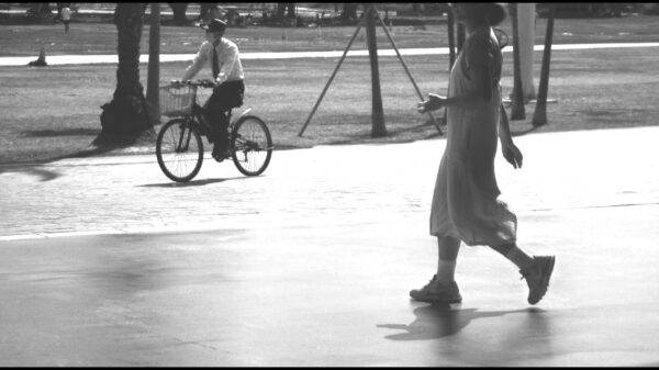  - Image 7 of 8