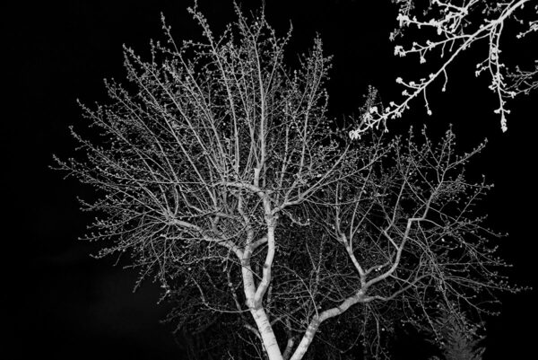  - Image 1 of 7