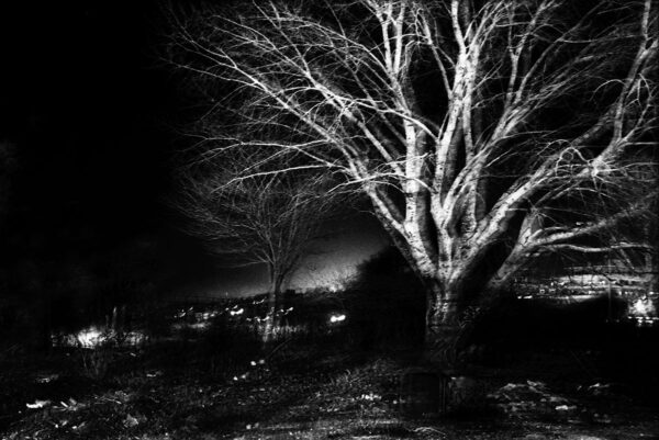  - Image 2 of 7