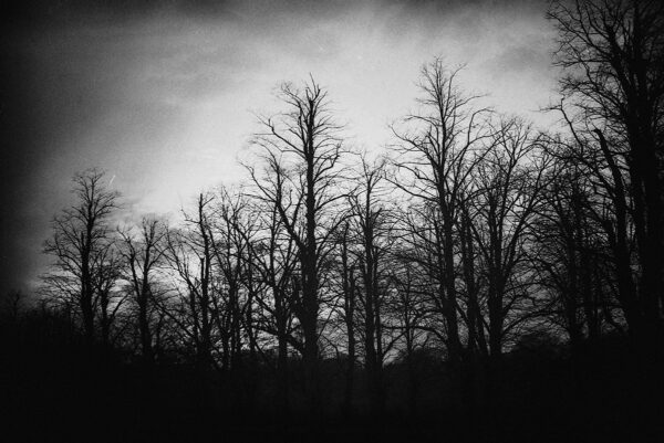  - Image 5 of 7