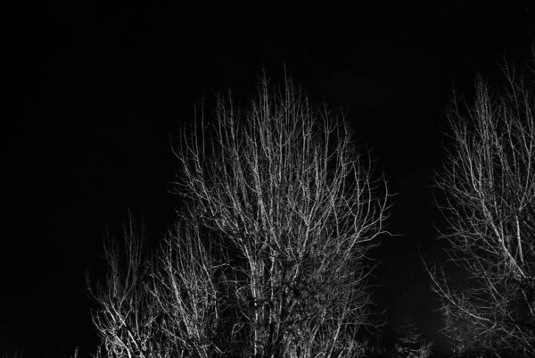  - Image 6 of 7
