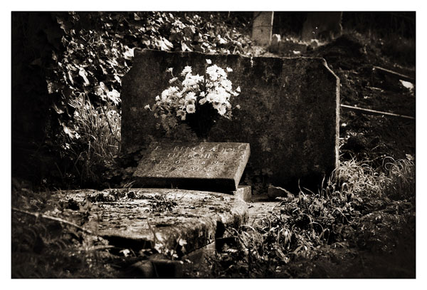 - Image 7 of 7