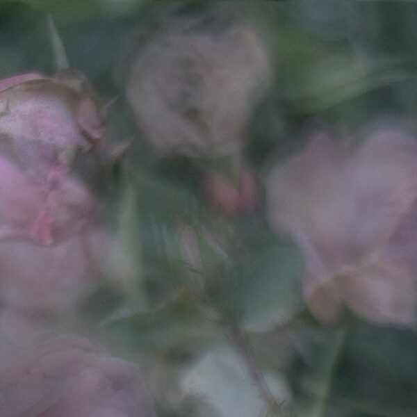  - Image 4 of 4