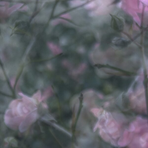  - Image 3 of 4