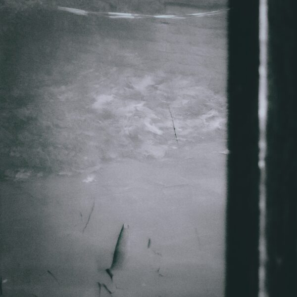 - Image 3 of 8