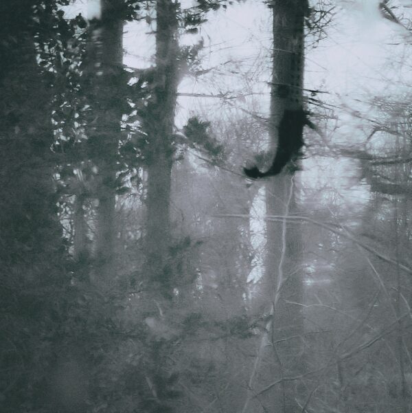 - Image 4 of 8