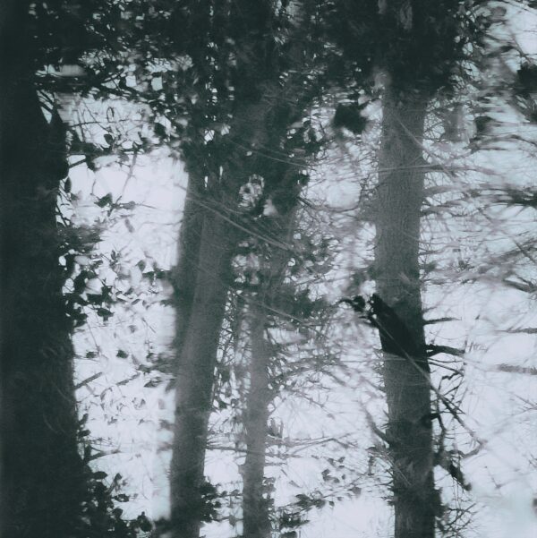  - Image 2 of 8