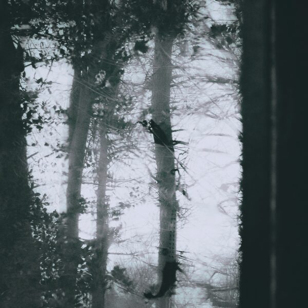  - Image 7 of 8