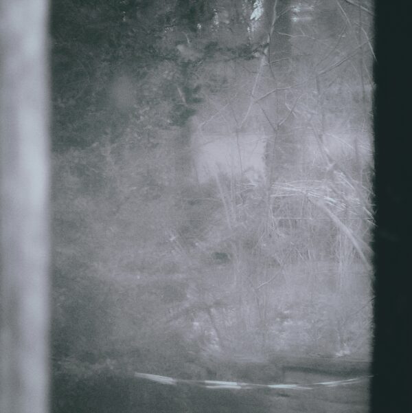  - Image 5 of 8