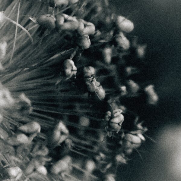  - Image 1 of 8