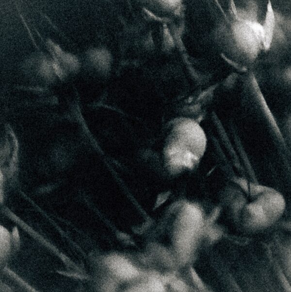  - Image 5 of 8