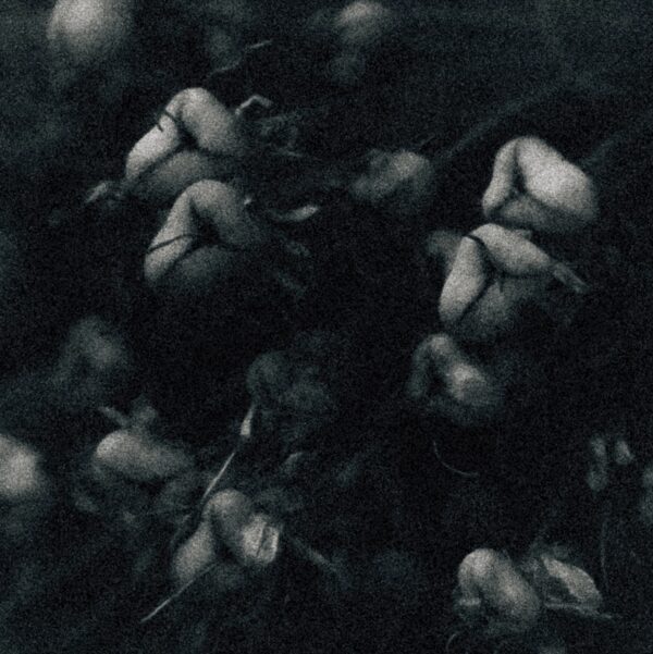  - Image 7 of 8