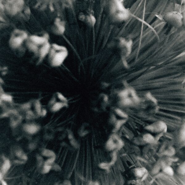  - Image 6 of 8